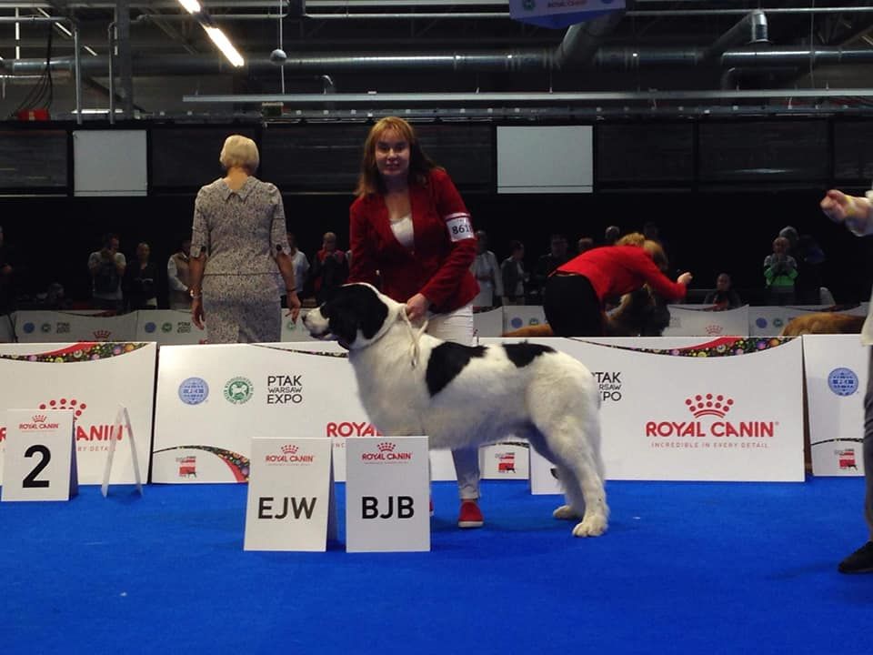 Des Pandas Des Terres Rouges - Un deuxième Champion jeune D'Europe dans la famille :) <3 