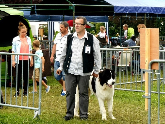 Des Pandas Des Terres Rouges - 10/08/2014 Expo Chatel Guyon CACS